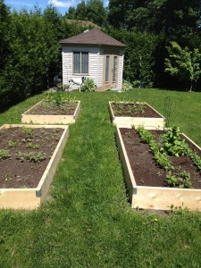 Raised Garden Beds